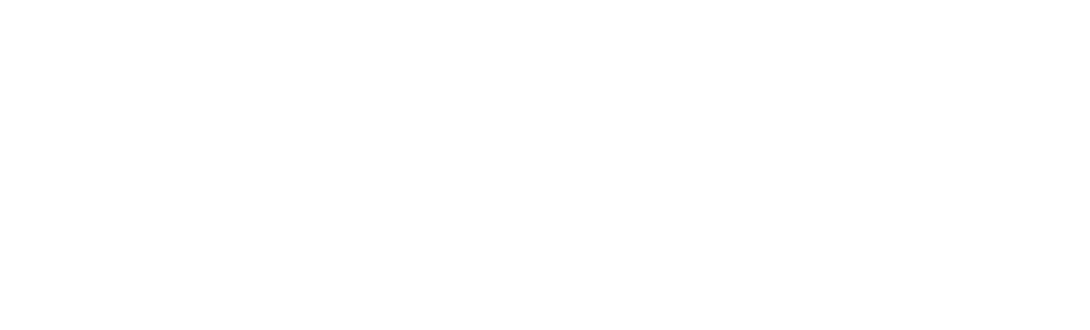 NAPFA